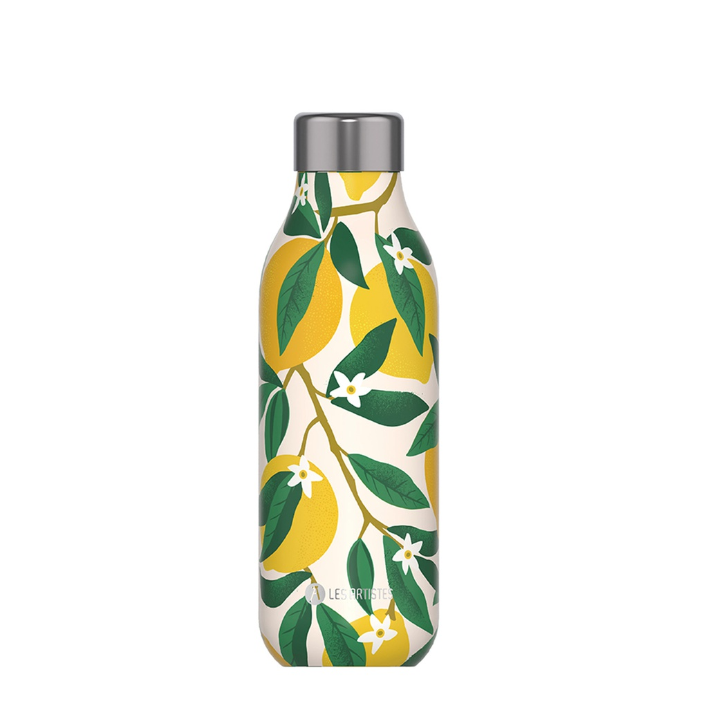 [A-9323] Isoliertrinkflasche 2