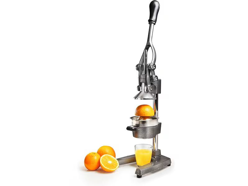 Lumaland Saftpresse Manuell Grau