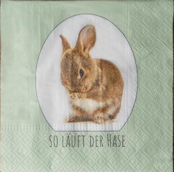 Papier-Serviette „So läuft der Hase“ – Perfekte Deko für dein Osterfest 20er Pack
