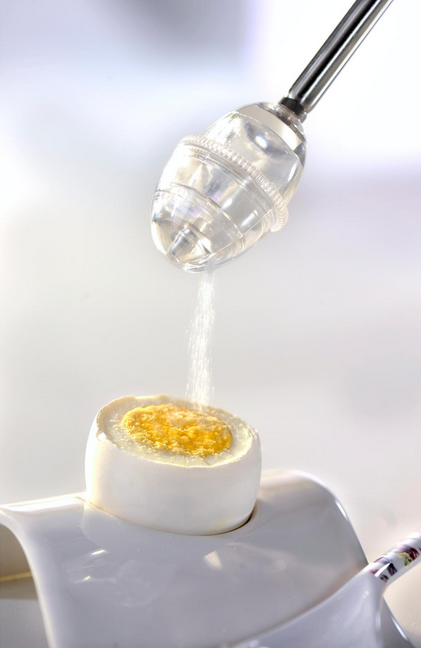 GEFU Eierschneider mit Salzstreuer OVO Silber